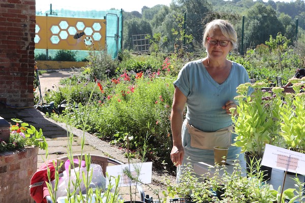 A photo of Kate running a plant stall at Canalside Heritage Centre